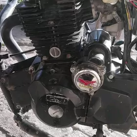 Fekon FK150-8G 2025