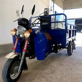 Fekon FK200-14G 2023