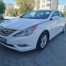 Hyundai Sonata 2010