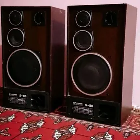 s90kalomkaa