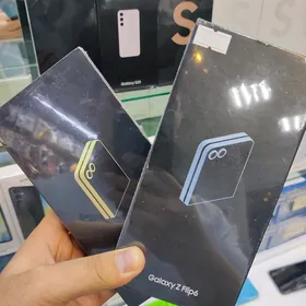Flip6
