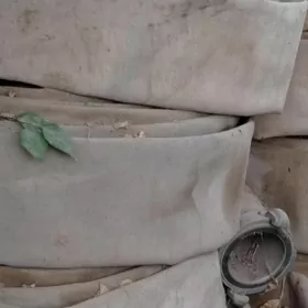 şlanga
