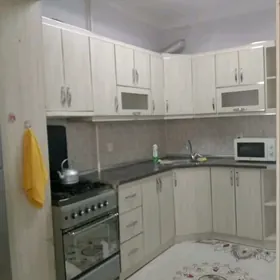 Гаудан В 2эт 2ком