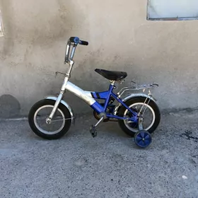 tigir 12