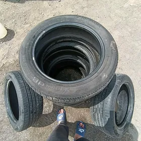 Pakyryşga