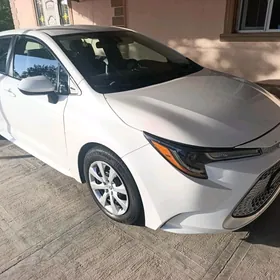 Toyota Corolla 2020