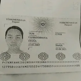 Pasport yitdi