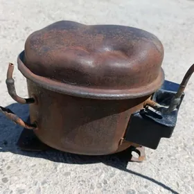 Holadilnik motor(original)