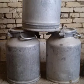 pilyak