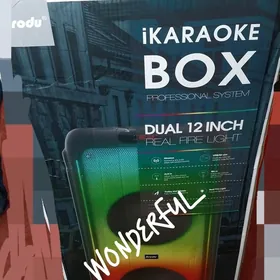 karaoke kolonka