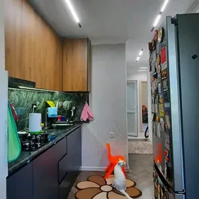Gyssagly 9 mkr