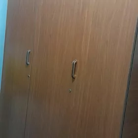 şfaner
