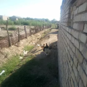 Towuklar