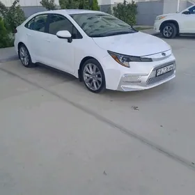 Toyota Corolla 2022