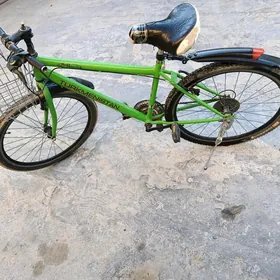 tigir Turkmenistan
