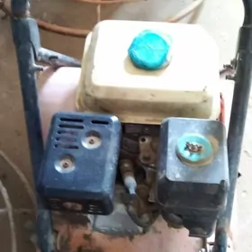 katok