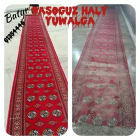 haly yuwalga