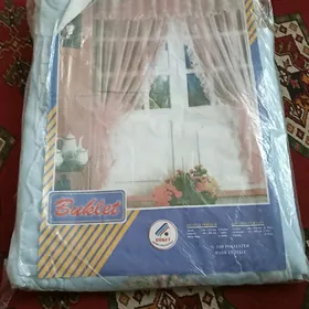 Gatowy zanowestka