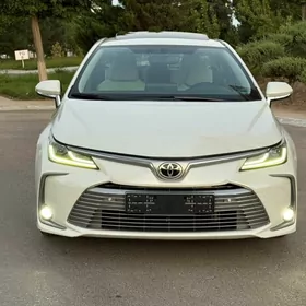 Toyota Corolla 2020