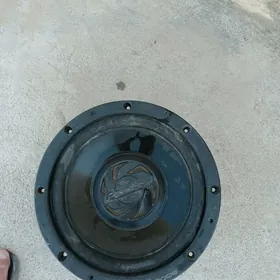 Pioneer