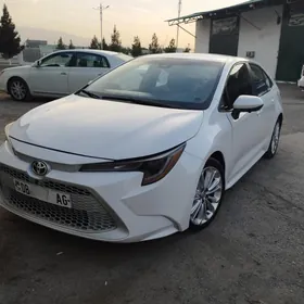 Toyota Corolla 2021