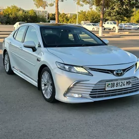 Toyota Camry 2019