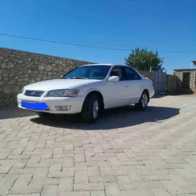 Toyota Camry 2001