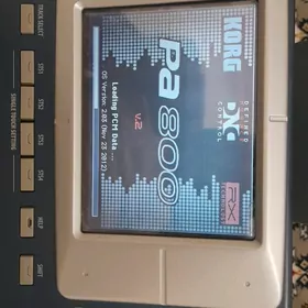 korg pa800