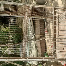 Setka