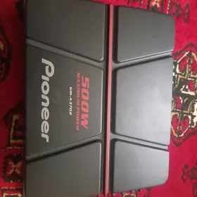 Pioner usilitel