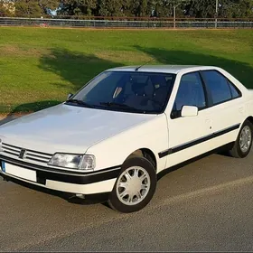 peugeot 405 zapcatsi