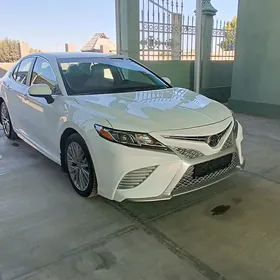 Toyota Camry 2020