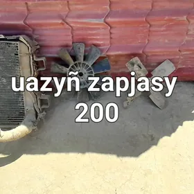 Uazyñ zapjasy