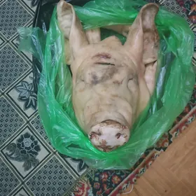 свинина