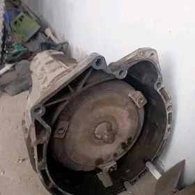 karopga 5 HP 19