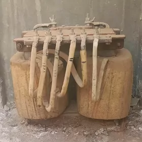 iş gözleýän tok köpeldiji