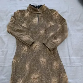 койнек