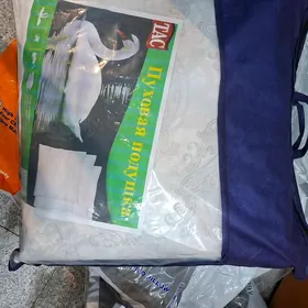 Yelek yasdyk ulusy