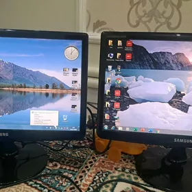 Monitor