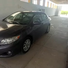Toyota Corolla 2010