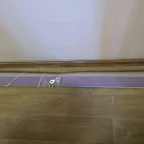 Žalyuz