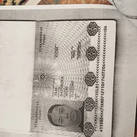 pasport