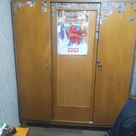 шифонер