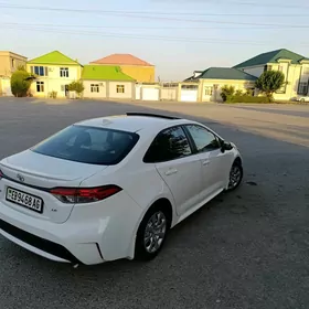 Toyota Corolla 2020