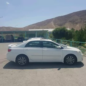 Toyota Corolla 2008