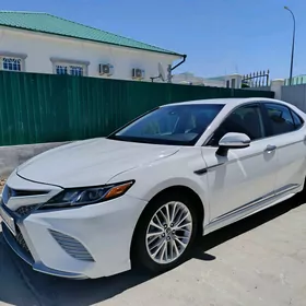 Toyota Camry 2019