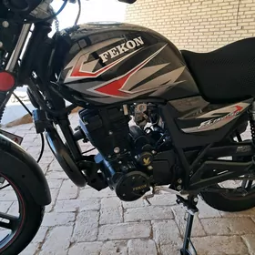 Fekon FK150-8G 2014