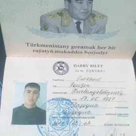Wayenni bilet