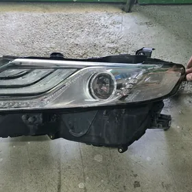 Camry Fara 2020 Halijy Fara