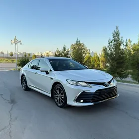 Toyota Camry 2023